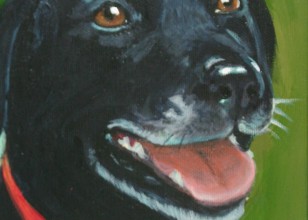 maggie