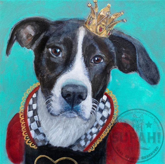 Dori Queen of Hearts Dog
